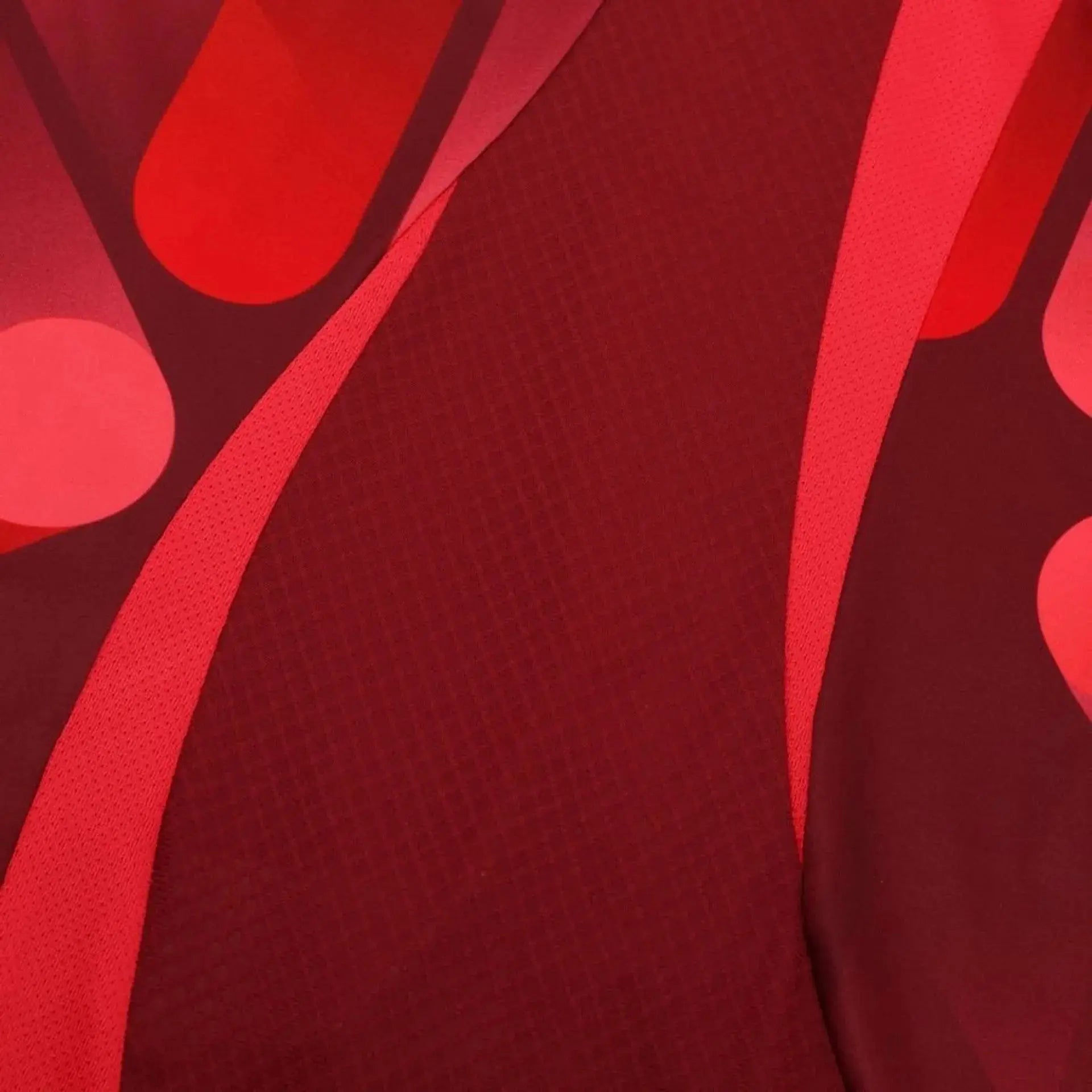 Maillot 24/25 Allemagne L'Univers Du Maillot
