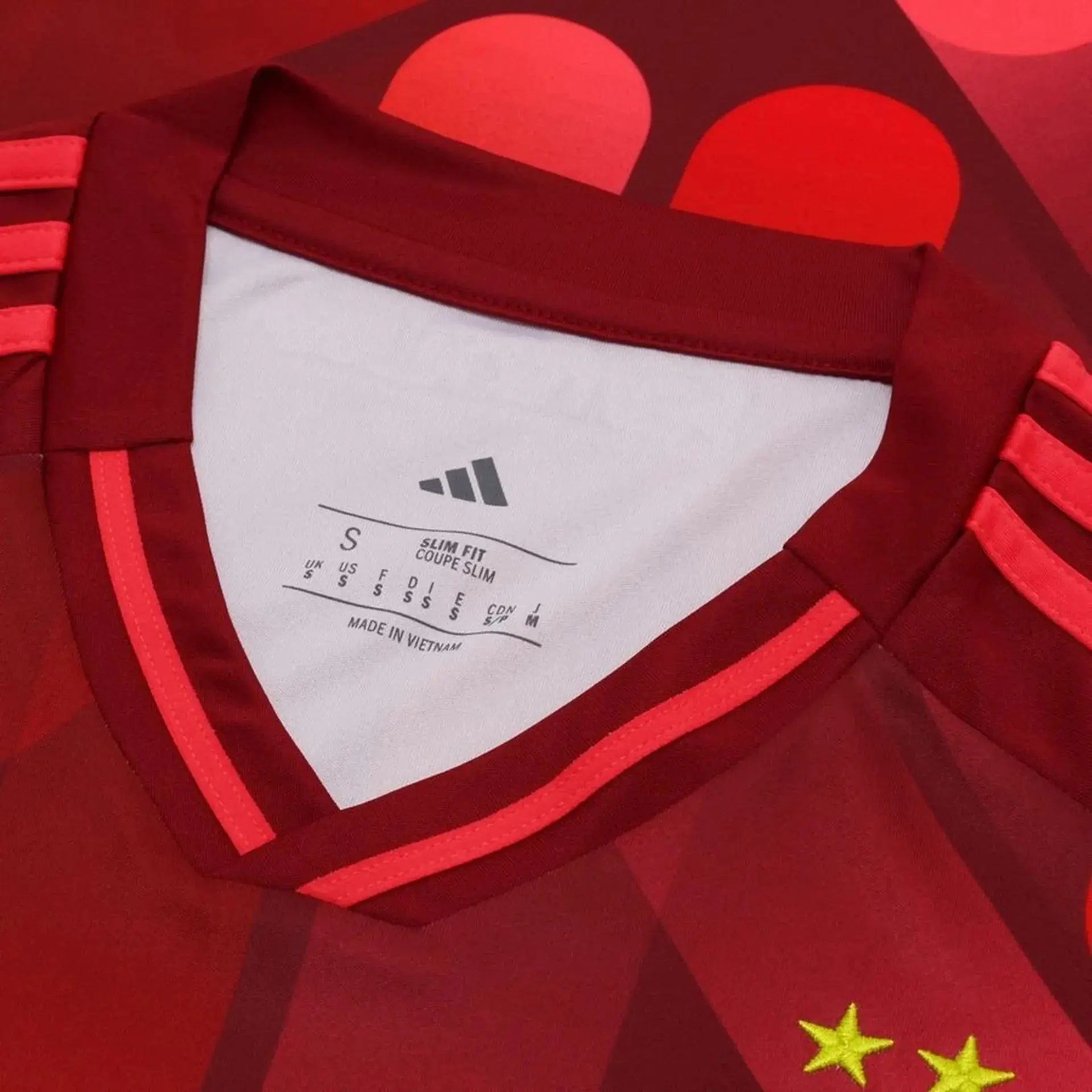 Maillot 24/25 Allemagne L'Univers Du Maillot